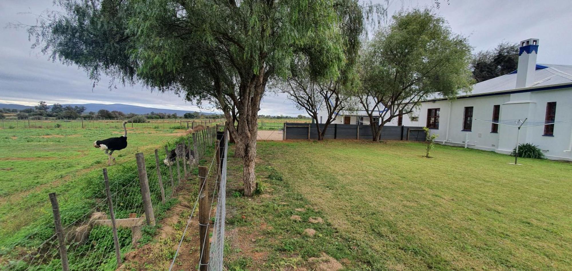 Karoo Leeu Self Catering Villa Oudtshoorn Luaran gambar